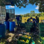 Comunicado a la opinión pública